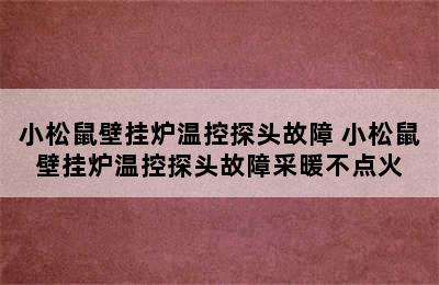 小松鼠壁挂炉温控探头故障 小松鼠壁挂炉温控探头故障采暖不点火